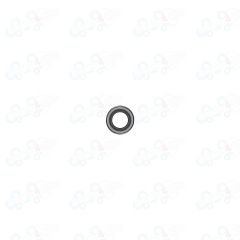 iPad Pro 9.7" Back Camera Lens White